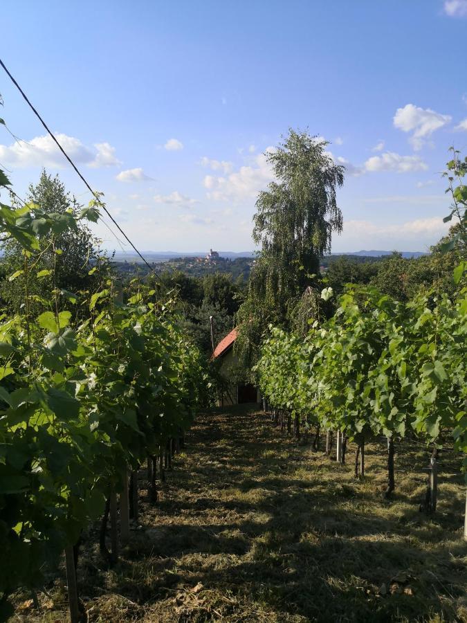 Vikendica Sirec Villa Ptujska Gora Bagian luar foto